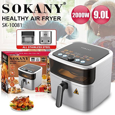 АЭРОФРЮТИРНИЦА SK-10081 (1)