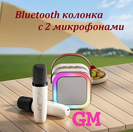 колонка K12   2-микрофон (50)